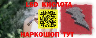 шишки Белореченск