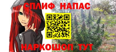 шишки Белореченск