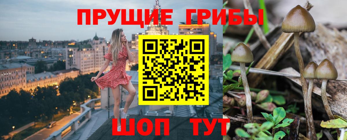 Галлюциногенные грибы прущие грибы  Вход с VPN  Хабаровск  Псилоцибиновые грибы Psilocybine cubensis 