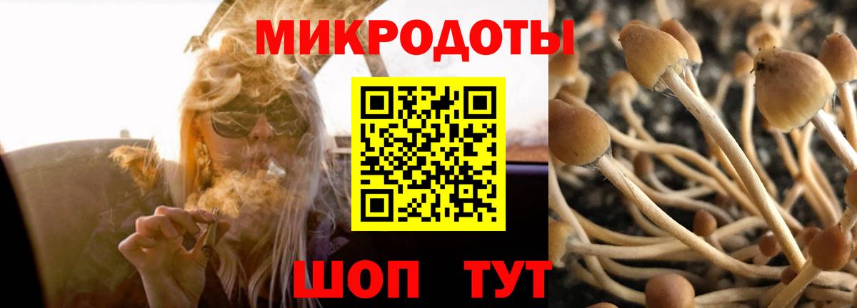 Псилоцибиновые грибы Magic Shrooms Хабаровск